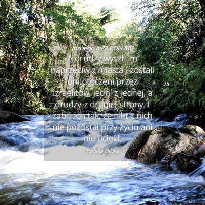 Picture 04 - Jozuego 8:22 POLUBG - A drudzy wyszli im naprzeciw z miasta i zostali - Bible Verse Picture