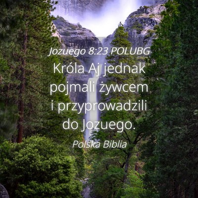 Picture 04 - Jozuego 8:23 POLUBG - Króla Aj jednak pojmali żywcem i przyprowadzili - Bible Verse Picture
