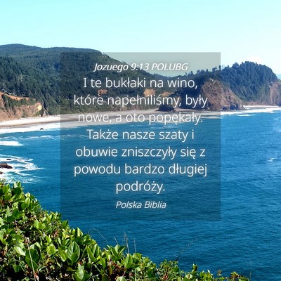 Picture 04 - Jozuego 9:13 POLUBG - I te bukłaki na wino, które napełniliśmy, - Bible Verse Picture