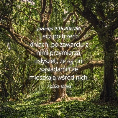Picture 04 - Jozuego 9:16 POLUBG - Lecz po trzech dniach, po zawarciu z nimi - Bible Verse Picture