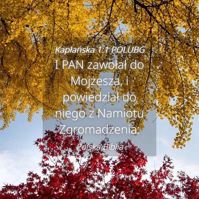 Picture 04 - Kapłańska 1:1 POLUBG - I PAN zawołał do Mojżesza, i powiedział do - Bible Verse Picture