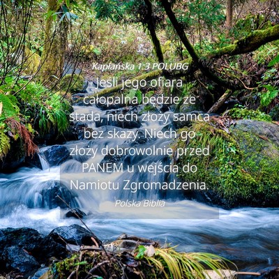 Picture 04 - Kapłańska 1:3 POLUBG - Jeśli jego ofiara całopalna będzie ze stada, - Bible Verse Picture