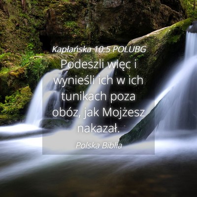 Picture 04 - Kapłańska 10:5 POLUBG - Podeszli więc i wynieśli ich w ich tunikach - Bible Verse Picture