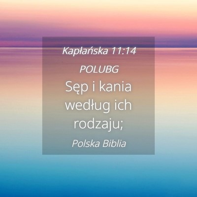 Picture 04 - Kapłańska 11:14 POLUBG - Sęp i kania według ich - Bible Verse Picture
