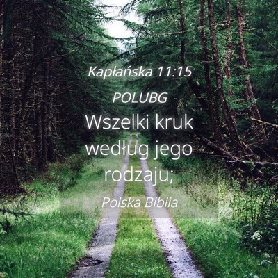 Picture 04 - Kapłańska 11:15 POLUBG - Wszelki kruk według jego - Bible Verse Picture