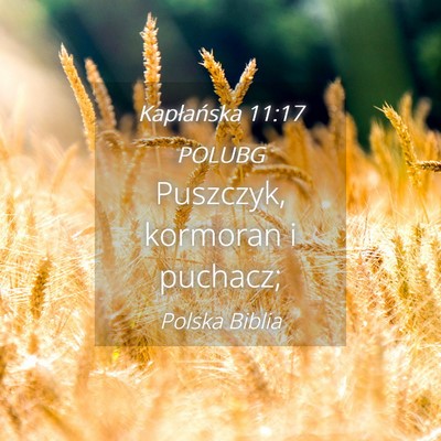 Picture 04 - Kapłańska 11:17 POLUBG - Puszczyk, kormoran i - Bible Verse Picture
