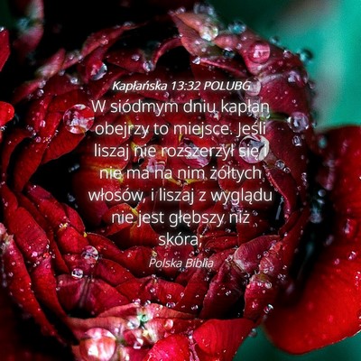 Picture 04 - Kapłańska 13:32 POLUBG - W siódmym dniu kapłan obejrzy to miejsce. - Bible Verse Picture