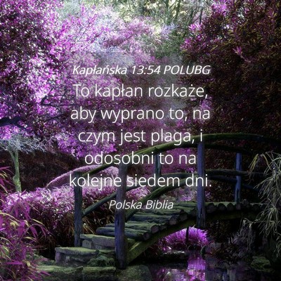 Picture 04 - Kapłańska 13:54 POLUBG - To kapłan rozkaże, aby wyprano to, na czym jest - Bible Verse Picture