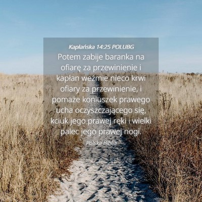 Picture 04 - Kapłańska 14:25 POLUBG - Potem zabije baranka na ofiarę za przewinienie i - Bible Verse Picture