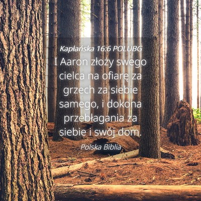 Picture 04 - Kapłańska 16:6 POLUBG - I Aaron złoży swego cielca na ofiarę za grzech - Bible Verse Picture