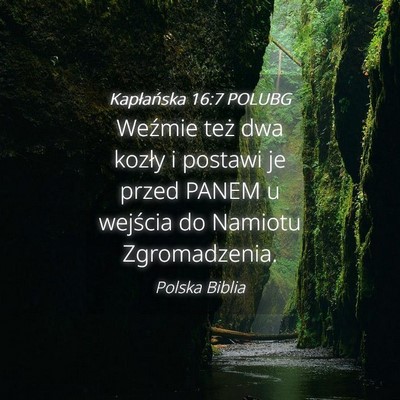 Picture 04 - Kapłańska 16:7 POLUBG - Weźmie też dwa kozły i postawi je przed PANEM - Bible Verse Picture