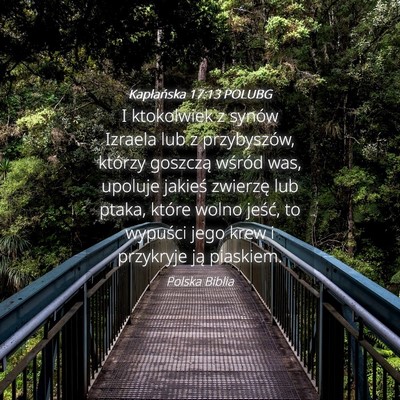 Picture 04 - Kapłańska 17:13 POLUBG - I ktokolwiek z synów Izraela lub z przybyszów, - Bible Verse Picture