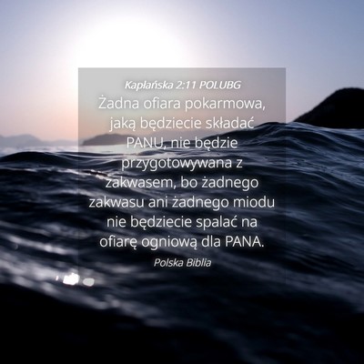 Picture 04 - Kapłańska 2:11 POLUBG - Żadna ofiara pokarmowa, jaką będziecie - Bible Verse Picture