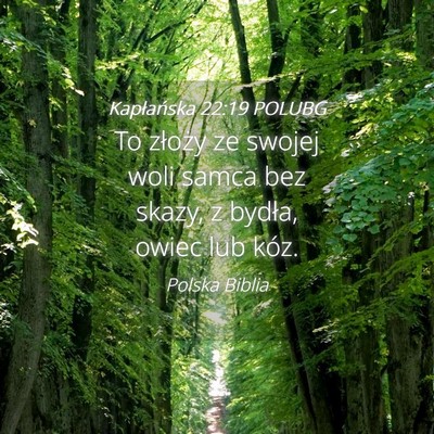 Picture 04 - Kapłańska 22:19 POLUBG - To złoży ze swojej woli samca bez skazy, z - Bible Verse Picture