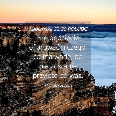 Picture 04 - Kapłańska 22:20 POLUBG - Nie będziecie ofiarować niczego, co ma wadę, - Bible Verse Picture