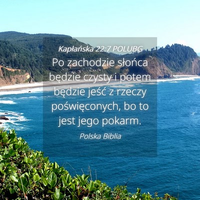 Picture 04 - Kapłańska 22:7 POLUBG - Po zachodzie słońca będzie czysty i potem - Bible Verse Picture