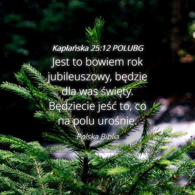 Picture 04 - Kapłańska 25:12 POLUBG - Jest to bowiem rok jubileuszowy, będzie dla was - Bible Verse Picture