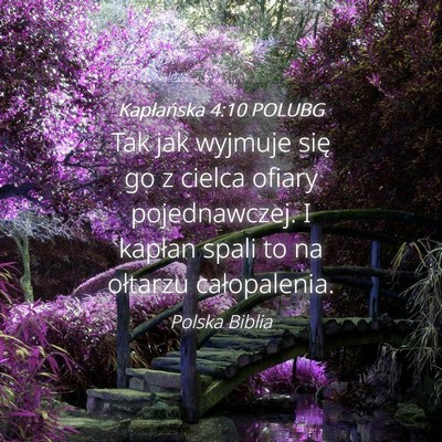 Picture 04 - Kapłańska 4:10 POLUBG - Tak jak wyjmuje się go z cielca ofiary - Bible Verse Picture