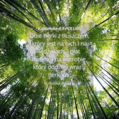 Picture 04 - Kapłańska 4:9 POLUBG - Obie nerki z tłuszczem, który jest na nich i na - Bible Verse Picture
