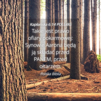 Picture 04 - Kapłańska 6:14 POLUBG - Takie jest prawo ofiary pokarmowej: Synowie - Bible Verse Picture