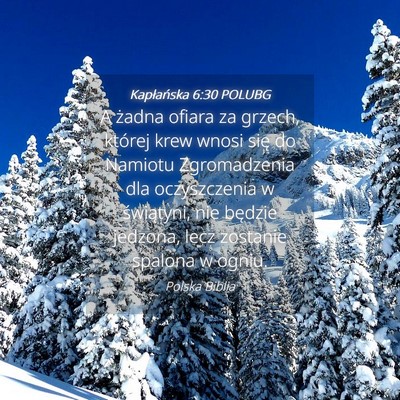 Picture 04 - Kapłańska 6:30 POLUBG - A żadna ofiara za grzech, której krew wnosi - Bible Verse Picture