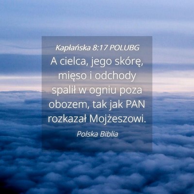 Picture 04 - Kapłańska 8:17 POLUBG - A cielca, jego skórę, mięso i odchody spalił - Bible Verse Picture
