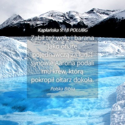 Picture 04 - Kapłańska 9:18 POLUBG - Zabił też wołu i barana jako ofiarę - Bible Verse Picture