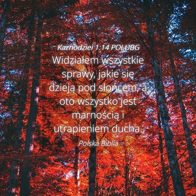 Picture 04 - Kaznodziei 1:14 POLUBG - Widziałem wszystkie sprawy, jakie się dzieją - Bible Verse Picture