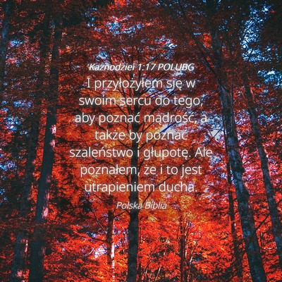 Picture 04 - Kaznodziei 1:17 POLUBG - I przyłożyłem się w swoim sercu do tego, aby - Bible Verse Picture