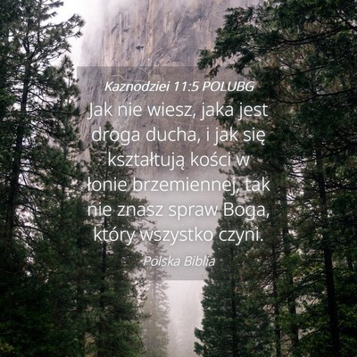 Picture 04 - Kaznodziei 11:5 POLUBG - Jak nie wiesz, jaka jest droga ducha, i jak się - Bible Verse Picture