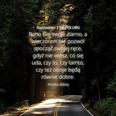 Picture 04 - Kaznodziei 11:6 POLUBG - Rano siej swoje ziarno, a wieczorem nie pozwól - Bible Verse Picture