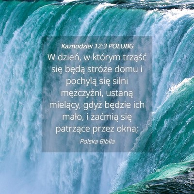 Picture 04 - Kaznodziei 12:3 POLUBG - W dzień, w którym trząść się będą - Bible Verse Picture