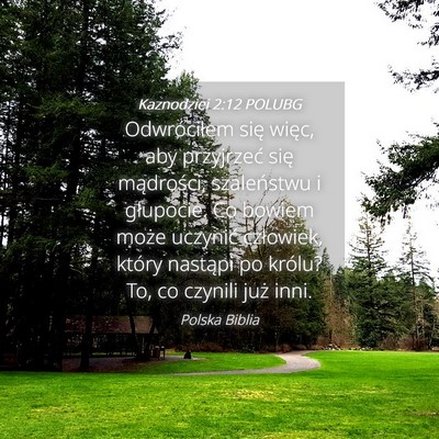 Picture 04 - Kaznodziei 2:12 POLUBG - Odwróciłem się więc, aby przyjrzeć się - Bible Verse Picture