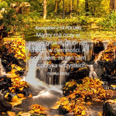 Picture 04 - Kaznodziei 2:14 POLUBG - Mądry ma oczy w swojej głowie, głupi zaś - Bible Verse Picture