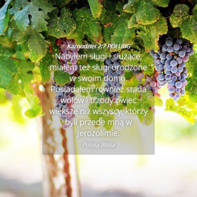 Picture 04 - Kaznodziei 2:7 POLUBG - Nabyłem sługi i służące, miałem też sługi - Bible Verse Picture