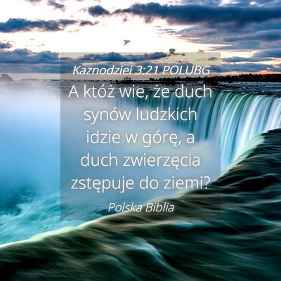 Picture 04 - Kaznodziei 3:21 POLUBG - A któż wie, że duch synów ludzkich idzie w - Bible Verse Picture