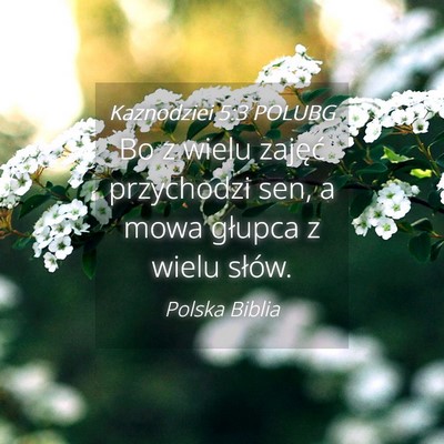 Picture 04 - Kaznodziei 5:3 POLUBG - Bo z wielu zajęć przychodzi sen, a mowa głupca - Bible Verse Picture