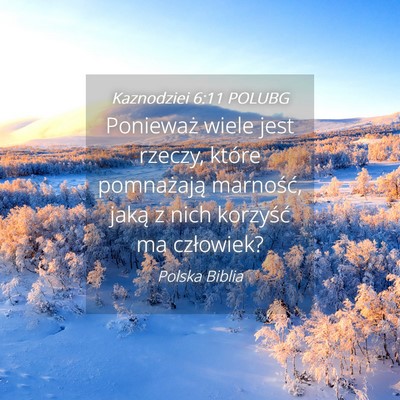 Picture 04 - Kaznodziei 6:11 POLUBG - Ponieważ wiele jest rzeczy, które pomnażają - Bible Verse Picture