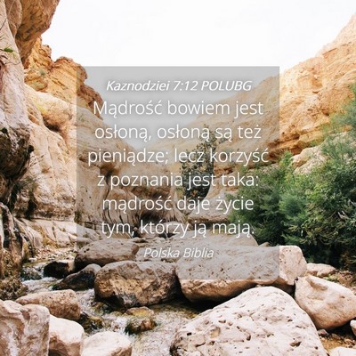Picture 04 - Kaznodziei 7:12 POLUBG - Mądrość bowiem jest osłoną, osłoną są - Bible Verse Picture