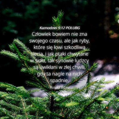 Picture 04 - Kaznodziei 9:12 POLUBG - Człowiek bowiem nie zna swojego czasu, ale jak - Bible Verse Picture