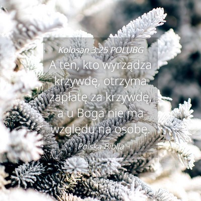 Picture 04 - Kolosan 3:25 POLUBG - A ten, kto wyrządza krzywdę, otrzyma zapłatę - Bible Verse Picture