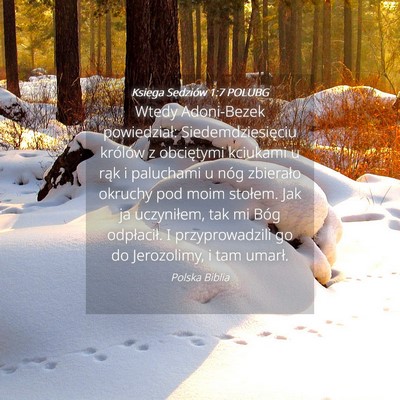 Picture 04 - Księga Sędziów 1:7 POLUBG - Wtedy Adoni-Bezek powiedział: Siedemdziesięciu - Bible Verse Picture