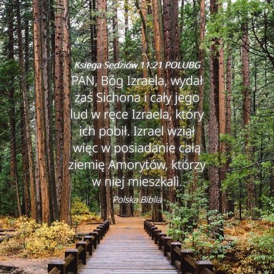 Picture 04 - Księga Sędziów 11:21 POLUBG - PAN, Bóg Izraela, wydał zaś Sichona i cały - Bible Verse Picture