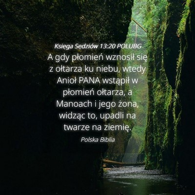 Picture 04 - Księga Sędziów 13:20 POLUBG - A gdy płomień wznosił się z ołtarza ku - Bible Verse Picture