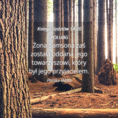Picture 04 - Księga Sędziów 14:20 POLUBG - Żona Samsona zaś została oddana jego - Bible Verse Picture