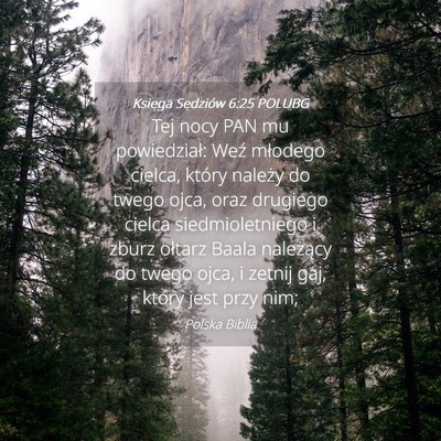 Picture 04 - Księga Sędziów 6:25 POLUBG - Tej nocy PAN mu powiedział: Weź młodego - Bible Verse Picture