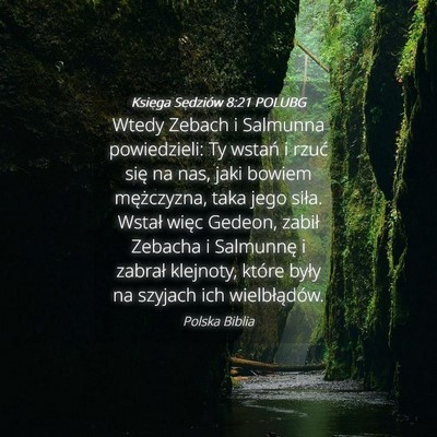 Picture 04 - Księga Sędziów 8:21 POLUBG - Wtedy Zebach i Salmunna powiedzieli: Ty wstań i - Bible Verse Picture