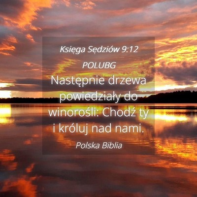 Picture 04 - Księga Sędziów 9:12 POLUBG - Następnie drzewa powiedziały do winorośli: - Bible Verse Picture