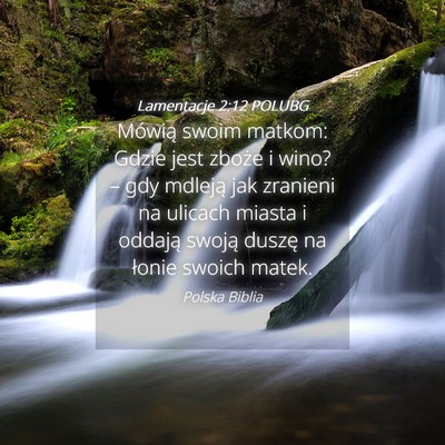 Picture 04 - Lamentacje 2:12 POLUBG - Mówią swoim matkom: Gdzie jest zboże i wino? - Bible Verse Picture