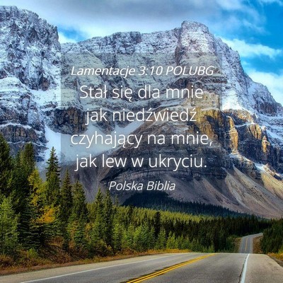 Picture 04 - Lamentacje 3:10 POLUBG - Stał się dla mnie jak niedźwiedź czyhający - Bible Verse Picture